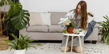 How to Get Free Living Room and Garden Décor