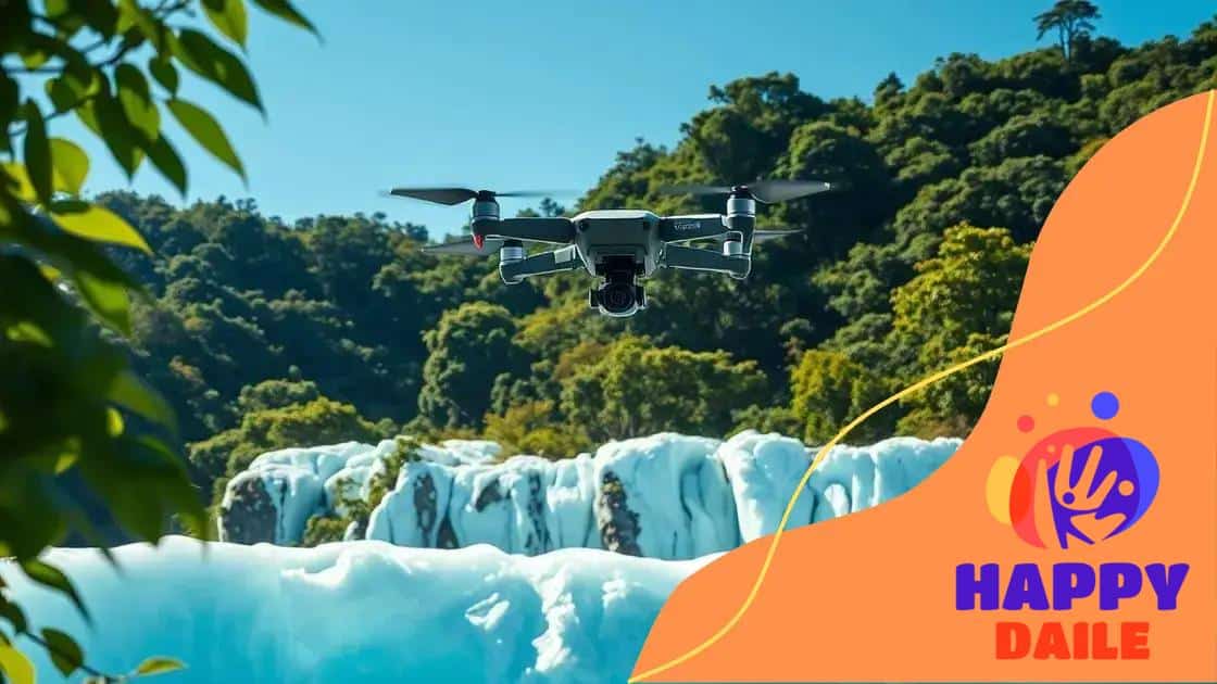 Case studies: Successful drone applications